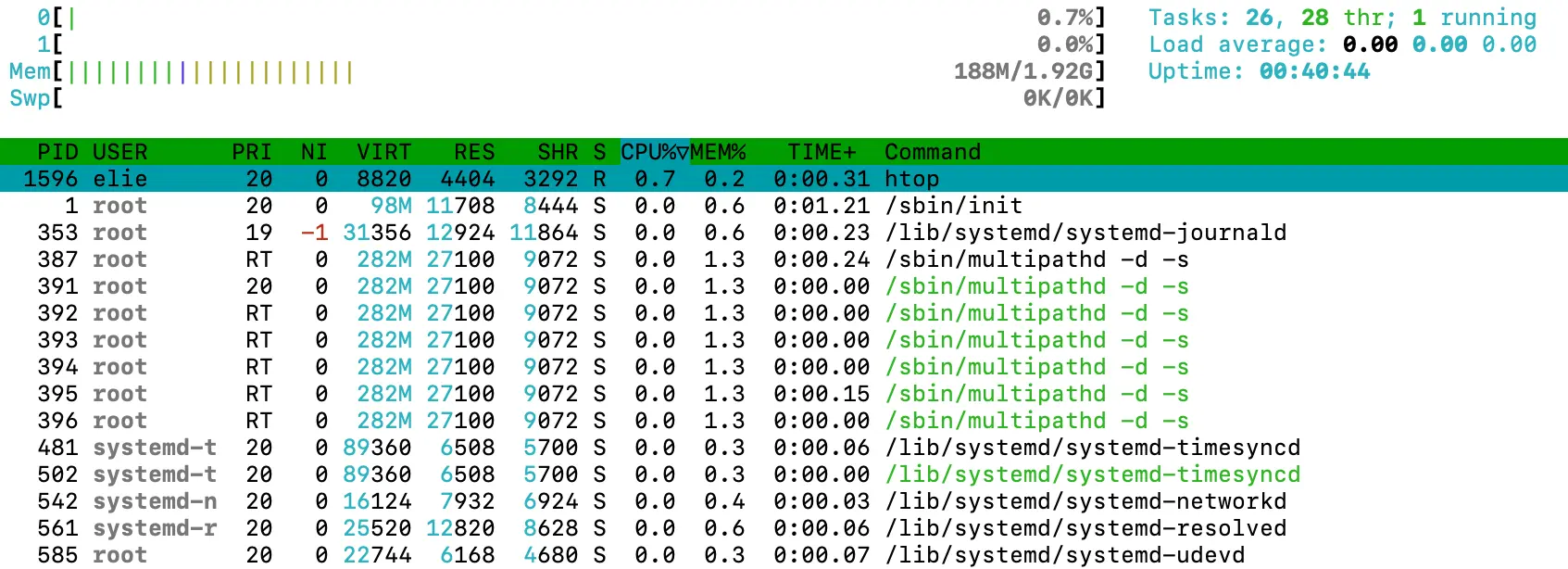 htop output