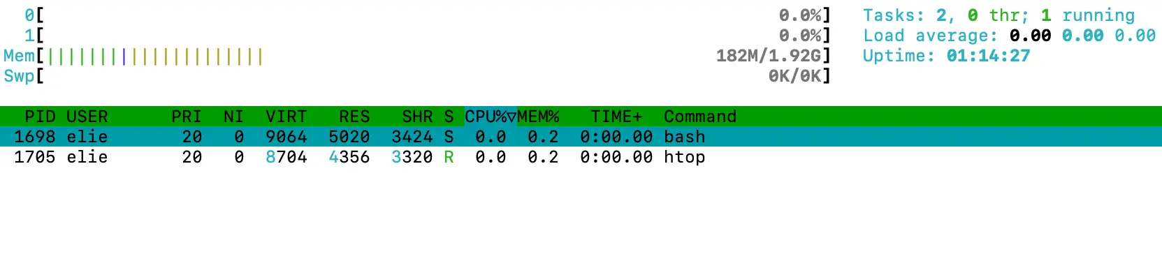 htop output after